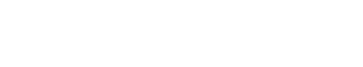 Flandrex Bit Logo